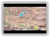 alpine001.mp4