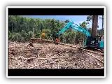 alpine002.mp4